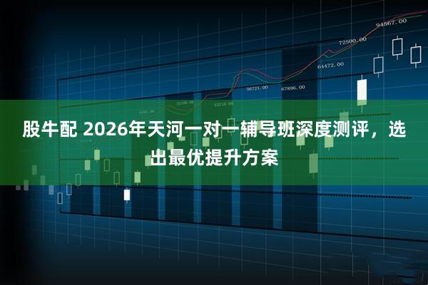 股牛配 2026年天河一对一辅导班深度测评，选出最优提升方案